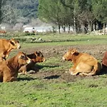 فندق Pasteral Riu Ter